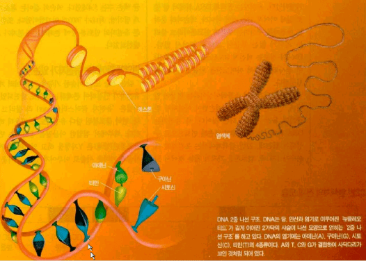 건강 장수시대는 오는가?